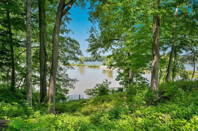 6521 Snug Harbour Ln, Unionville, IN 47468 - water view