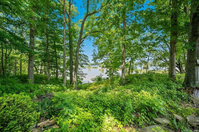 6521 Snug Harbour Ln, Unionville, IN 47468 - view of local wilderness featuring a nearby body of water