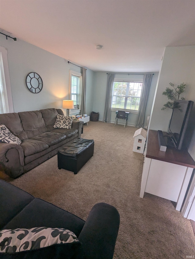 664 Columbia St, Berne, IN 46711 - living area featuring carpet floors and healthy amount of natural light