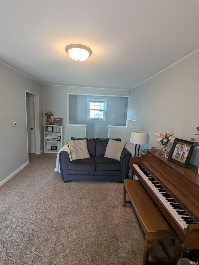 664 Columbia St, Berne, IN 46711 - carpeted living room with ornamental molding and baseboards