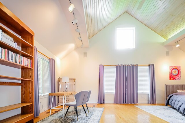 2910 W Devon Rd, Muncie, IN 47304 - bedroom featuring track lighting, wood finished floors, high vaulted ceiling, and baseboards