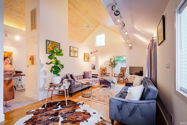 2910 W Devon Rd, Muncie, IN 47304 - living area featuring healthy amount of natural light, rail lighting, light wood-type flooring, and high vaulted ceiling