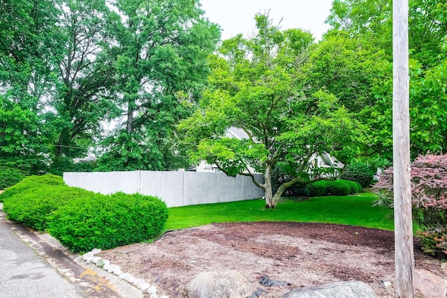 2910 W Devon Rd, Muncie, IN 47304 - view of yard