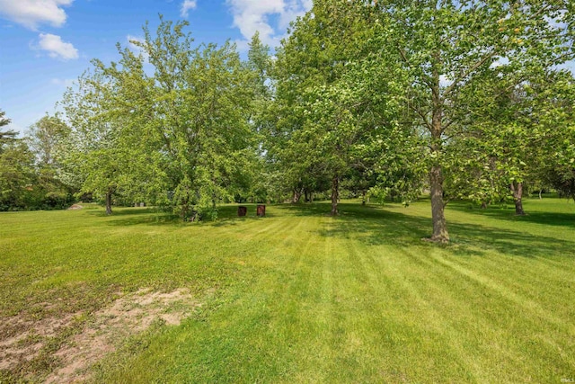 9129 Winchester Rd, Fort Wayne, IN 46819 - view of green lawn