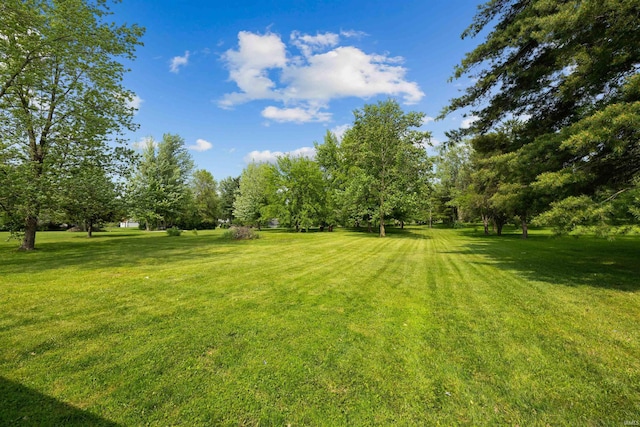 9129 Winchester Rd, Fort Wayne, IN 46819 - view of grassy yard with view of wooded area