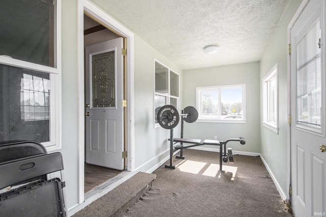 3311 Ardmore Trl, South Bend, IN 46628 - exercise area featuring carpet floors, baseboards, and a textured ceiling