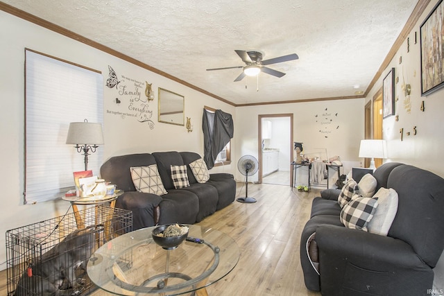 3311 Ardmore Trl, South Bend, IN 46628 - living area featuring light wood finished floors, ceiling fan, and a textured ceiling