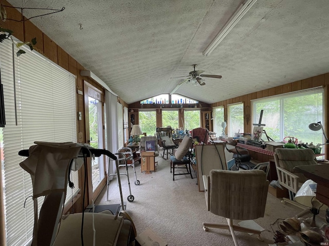 520 S Butterfield Rd, Muncie, IN 47302 - sunroom featuring vaulted ceiling, carpet floors, and a textured ceiling