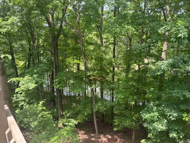 9428 S Lake Ridge Dr, Bloomington, IN 47401 - view of tree filled area