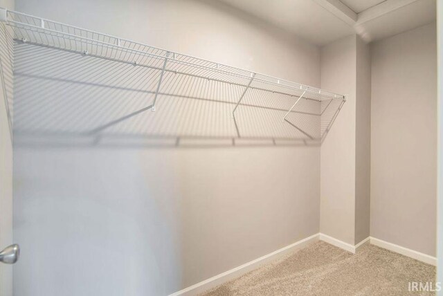 405 Somerfield Dr, Lakeville, IN 46536 - walk in closet featuring carpet floors and attic access