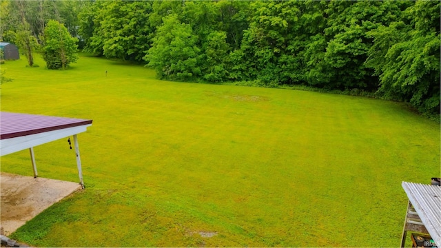 1113 E 500 S, Wabash, IN 46992 - view of grassy yard