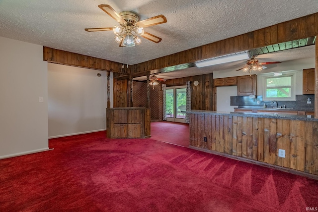 1113 E 500 S, Wabash, IN 46992 - kitchen featuring ceiling fan, dark carpet, a textured ceiling, a sink, and baseboards