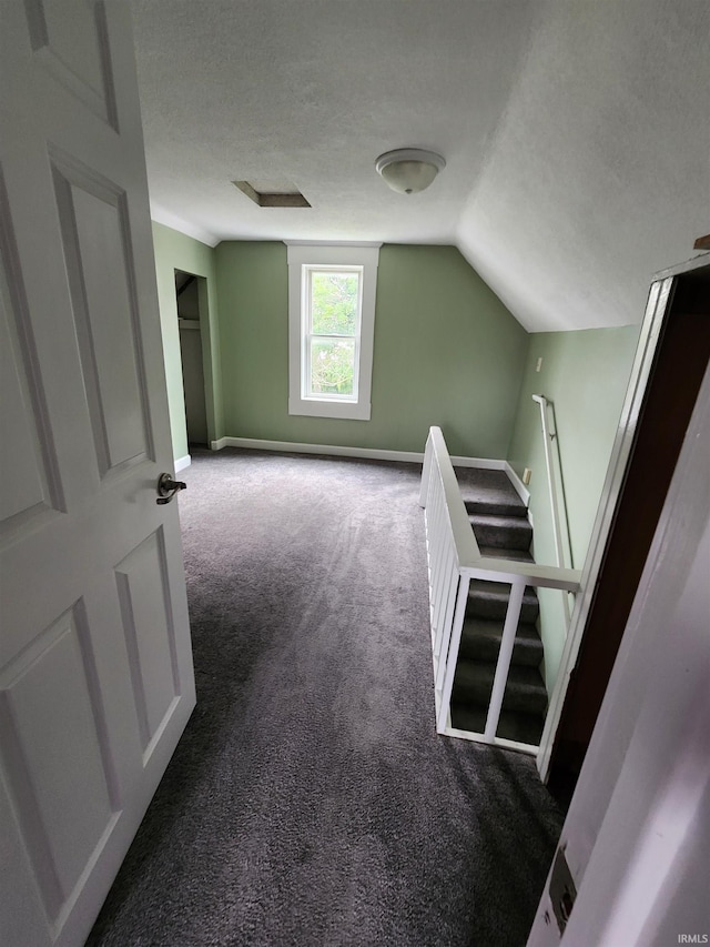 206 S Van Buren St, Monroe, IN 46772 - additional living space featuring carpet, a textured ceiling, lofted ceiling, and baseboards