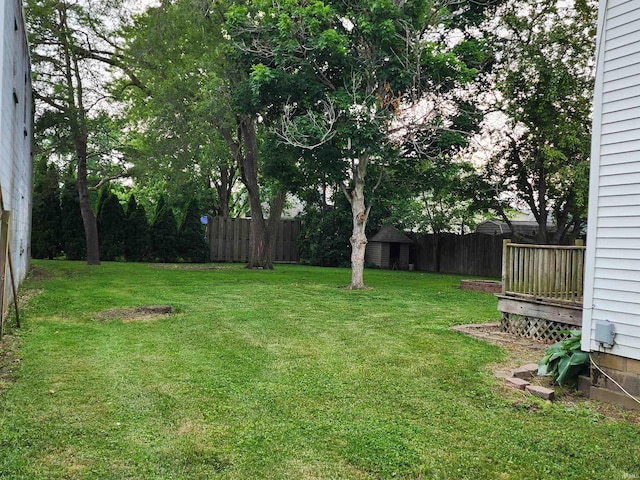 206 S Van Buren St, Monroe, IN 46772 - view of yard