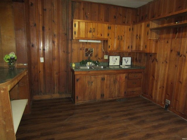 508 W 2nd St, Marion, IN 46952 - bar area with a sink, dark wood-style flooring, wood walls, and baseboards