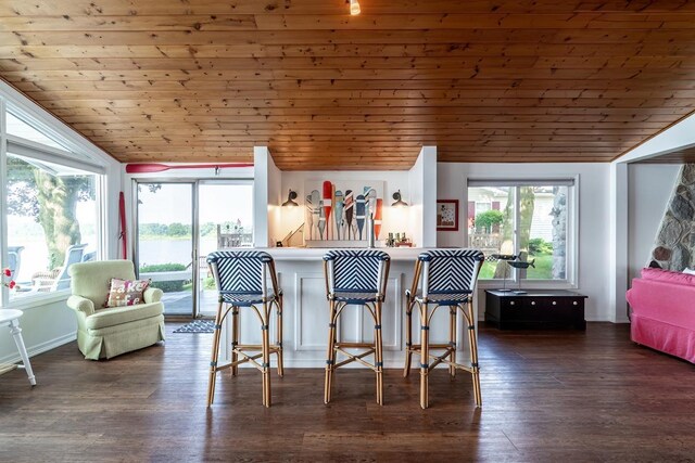 620 Ln 330 Big Otter Lk, Fremont, IN 46737 - kitchen featuring lofted ceiling, wooden ceiling, a kitchen bar, and dark wood-style flooring