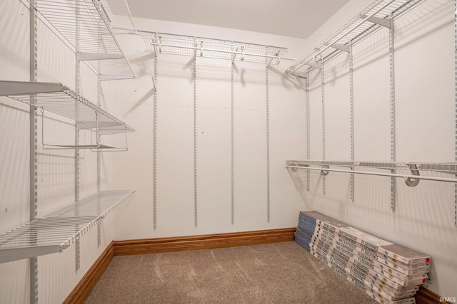 10227 Jefferson Rd, Osceola, IN 46561 - spacious closet with carpet