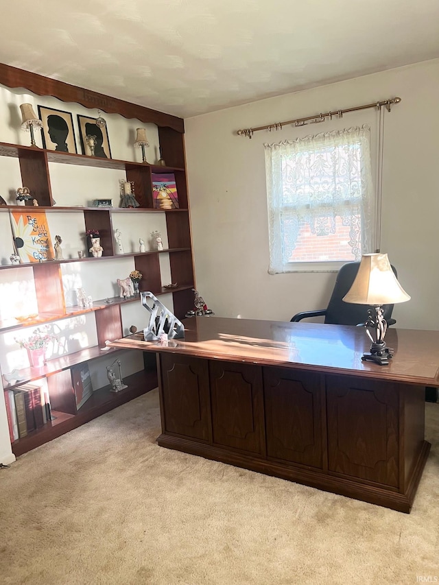 416 Hopkins Rd, Indianapolis, IN 46229 - office with light colored carpet