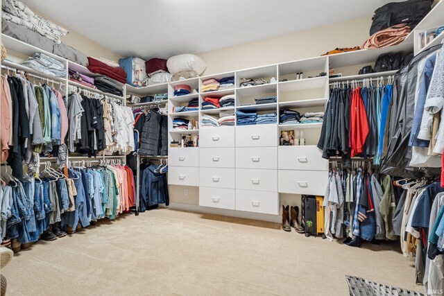 4906 N 100 W, Uniondale, IN 46791 - walk in closet with carpet flooring