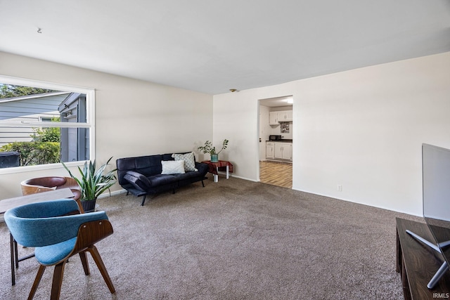 1330 Helmen Dr, South Bend, IN 46615 - living area featuring carpet flooring and baseboards