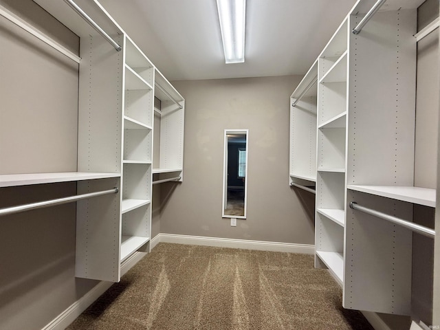 9820 Arbor Lake Dr, Newburgh, IN 47630 - walk in closet with carpet flooring
