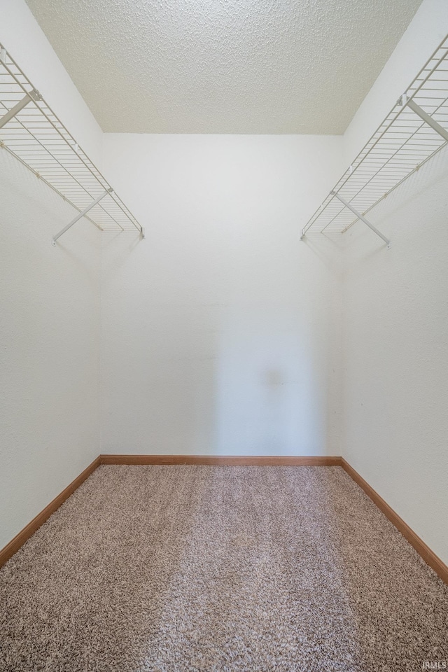 2645 Wynterpointe Ct, Kokomo, IN 46901 - walk in closet featuring carpet