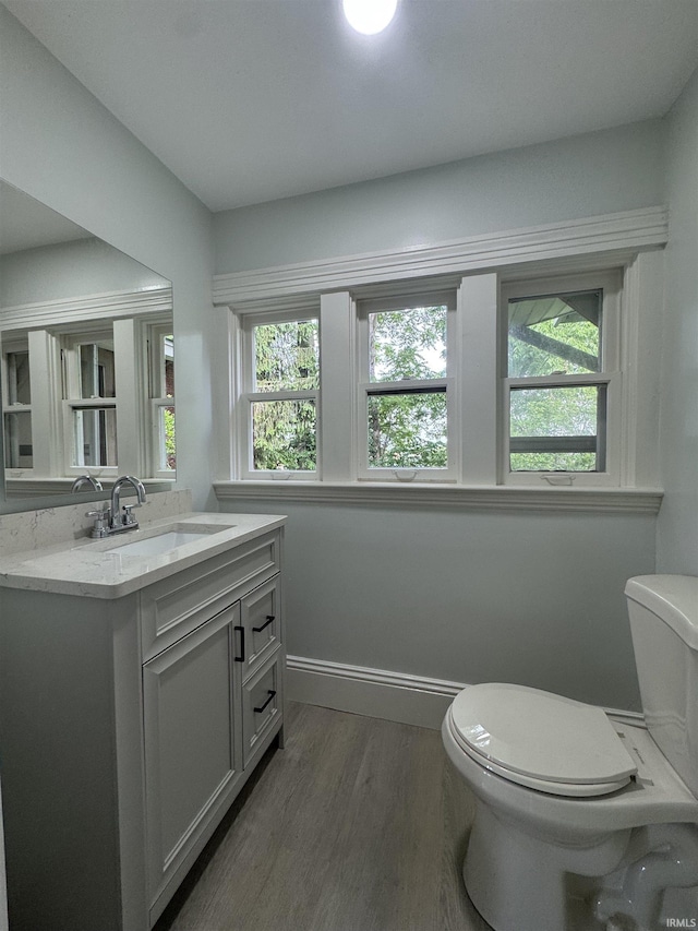 241 W Tipton St, Huntington, IN 46750 - bathroom with wood finished floors, vanity, and healthy amount of natural light
