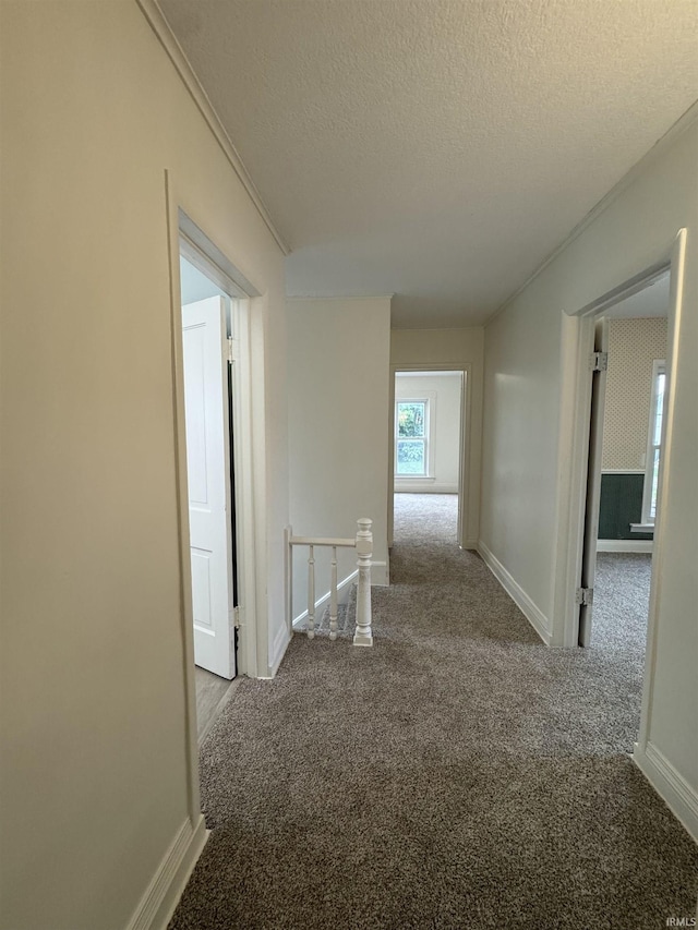 241 W Tipton St, Huntington, IN 46750 - hall featuring carpet flooring, an upstairs landing, a textured ceiling, and ornamental molding