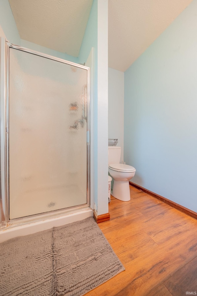 602 S Maple St, Galveston, IN 46932 - full bath featuring a stall shower, wood finished floors, and vaulted ceiling