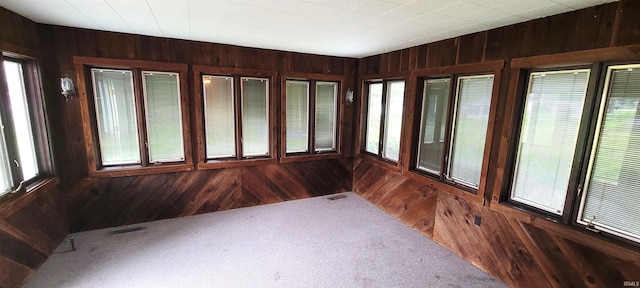 113 N Beechwood St, Warsaw, IN 46582 - unfurnished sunroom featuring wooden walls and carpet flooring