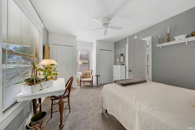 17612 State Road 37, Harlan, IN 46743 - bedroom featuring two closets, carpet floors, multiple windows, and ceiling fan