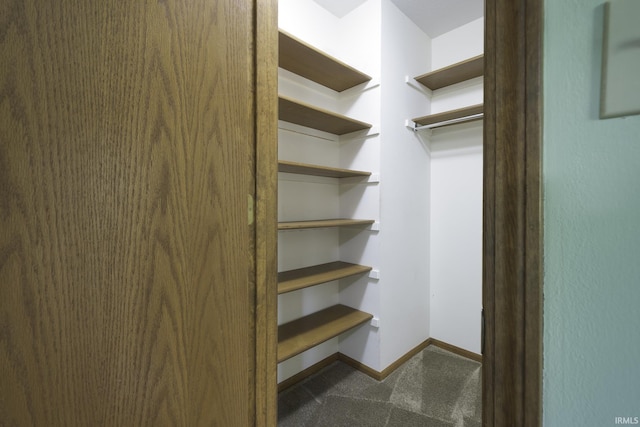 2560 E Maple Dr, Bluffton, IN 46714 - walk in closet with carpet