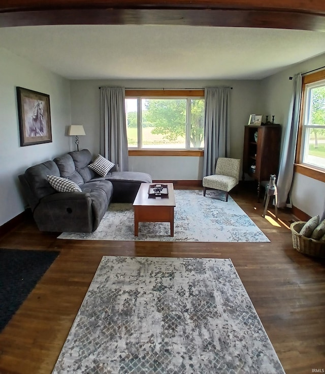 7086 S 200 E, Macy, IN 46951 - living room featuring dark wood finished floors