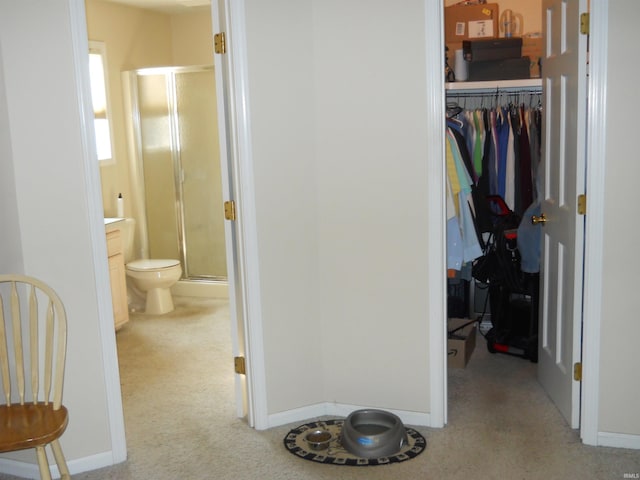 2910 Country Club Dr, Rochester, IN 46975 - hallway with light colored carpet and baseboards