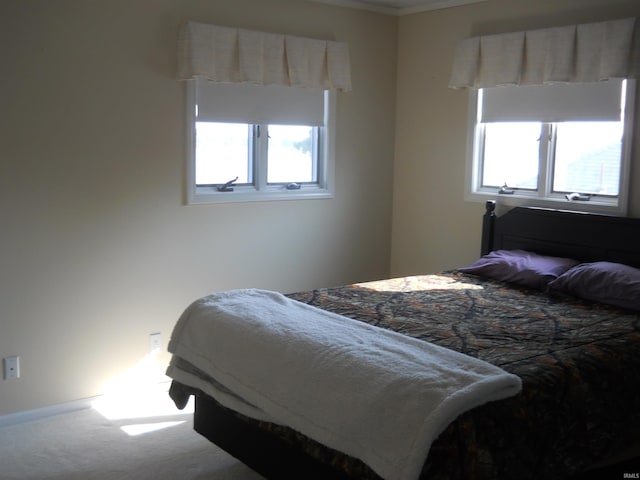 2910 Country Club Dr, Rochester, IN 46975 - bedroom with multiple windows and carpet floors