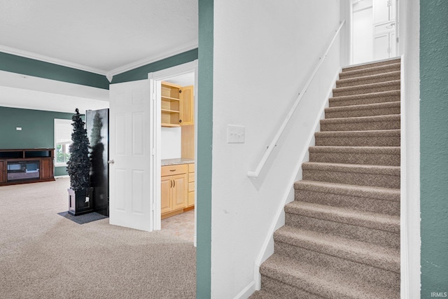 3549 S Wickens St, Bloomington, IN 47403 - stairs with carpet floors and ornamental molding