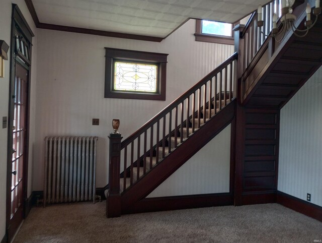 1340 Broadway St, Vincennes, IN 47591 - staircase featuring radiator heating unit, carpet flooring, and wallpapered walls