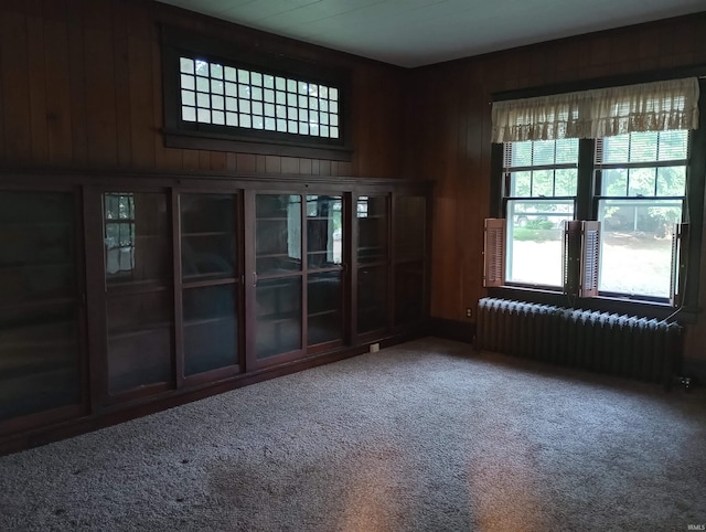1340 Broadway St, Vincennes, IN 47591 - empty room featuring radiator heating unit, carpet flooring, and wooden walls