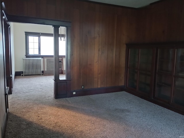 1340 Broadway St, Vincennes, IN 47591 - spare room with radiator heating unit, carpet flooring, and wood walls