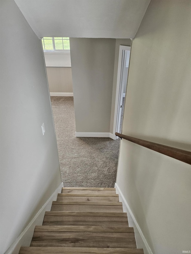 6711 Trier Rd, Fort Wayne, IN 46815 - stairs featuring carpet floors and baseboards