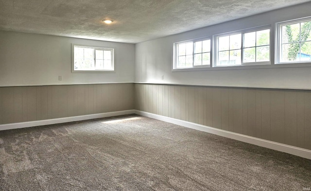 6711 Trier Rd, Fort Wayne, IN 46815 - carpeted spare room with a textured ceiling, plenty of natural light, wainscoting, and wooden walls