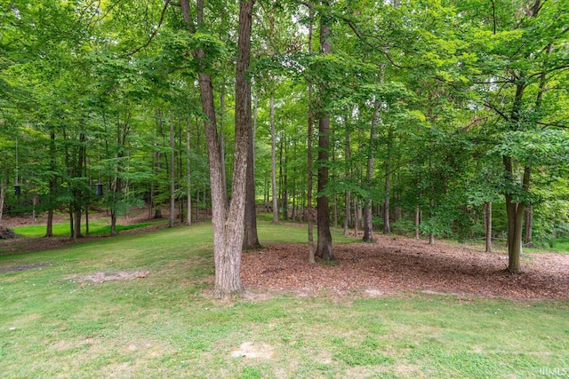 3104 E Chase Ln, Bloomington, IN 47401 - view of green lawn featuring a forest view