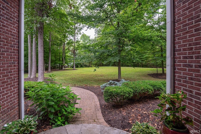 3104 E Chase Ln, Bloomington, IN 47401 - view of grassy yard
