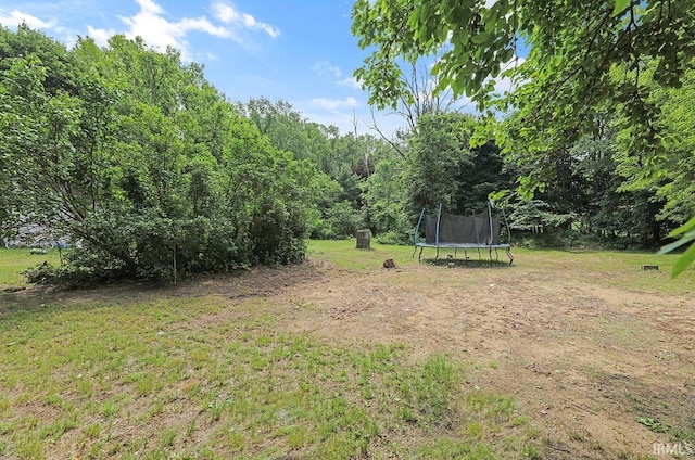 19252 Cleveland Rd, South Bend, IN 46637 - view of green lawn with a trampoline and a wooded view