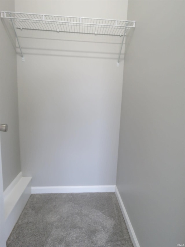 10239 State Road 26 E, Lafayette, IN 47905 - spacious closet with carpet flooring