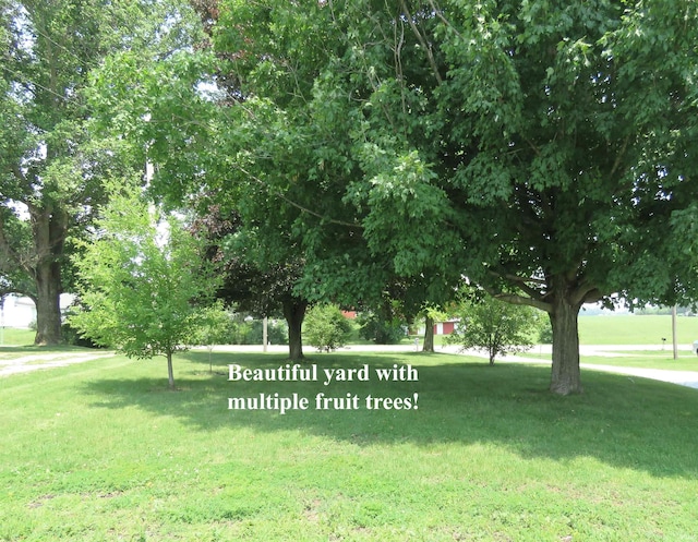 10239 State Road 26 E, Lafayette, IN 47905 - view of home's community featuring a yard