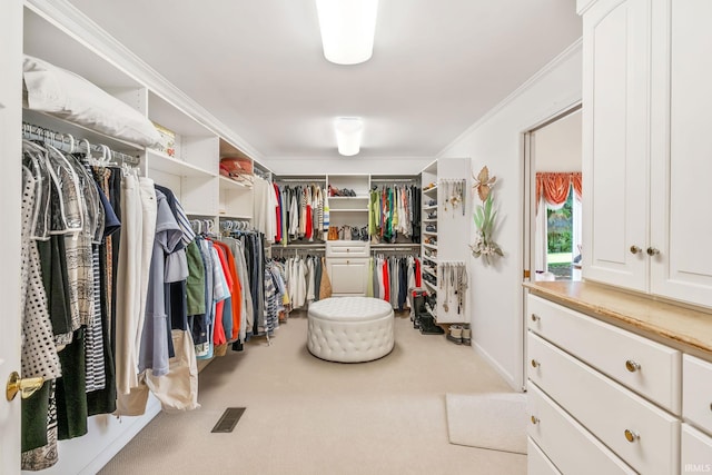 106 River Cove Ln, North Manchester, IN 46962 - walk in closet with carpet