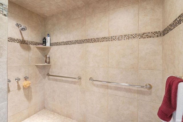 106 River Cove Ln, North Manchester, IN 46962 - full bath with tiled shower