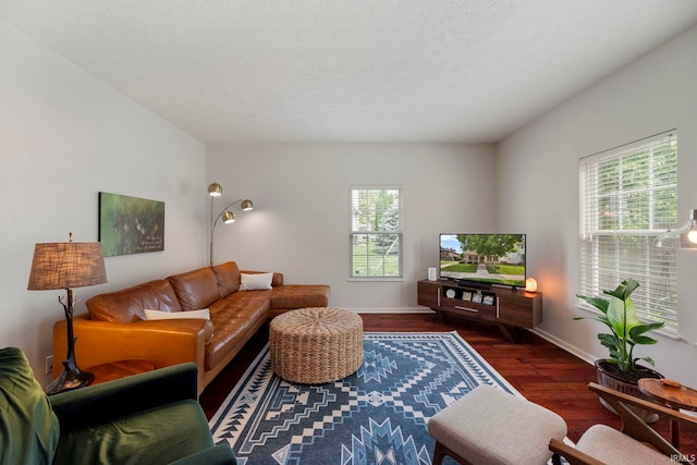 1009 Elliott St, Lafayette, IN 47905 - living room featuring healthy amount of natural light and wood finished floors