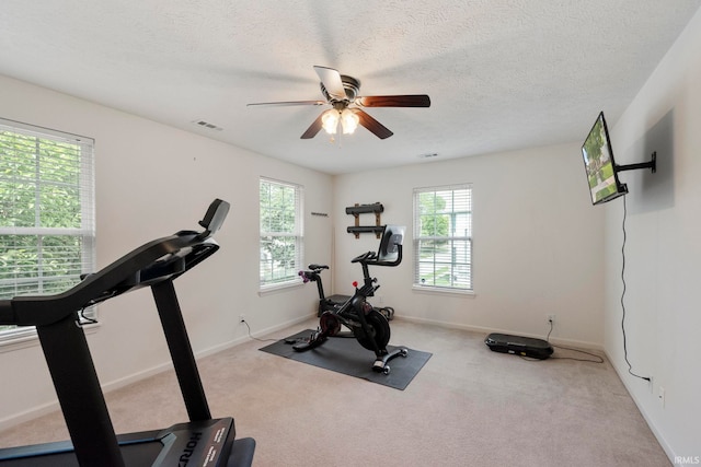 1009 Elliott St, Lafayette, IN 47905 - exercise room featuring plenty of natural light, ceiling fan, carpet floors, and a textured ceiling